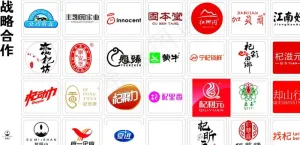 枸杞品牌 LOGO 大全图片