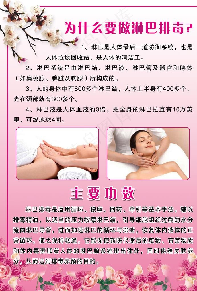 草本淋巴排毒   养生图片(2480X3508(DPI:300))psd模版下载