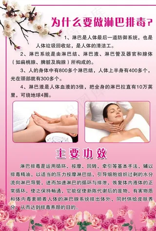 草本淋巴排毒   养生图片