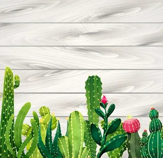 仙人掌植物印花图片