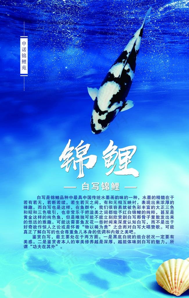 锦鲤简介图片(3150X4724(DPI:100))psd模版下载