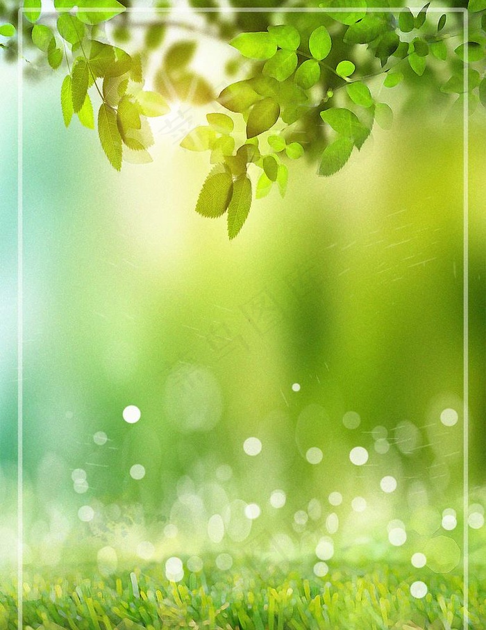 绿色背景图片