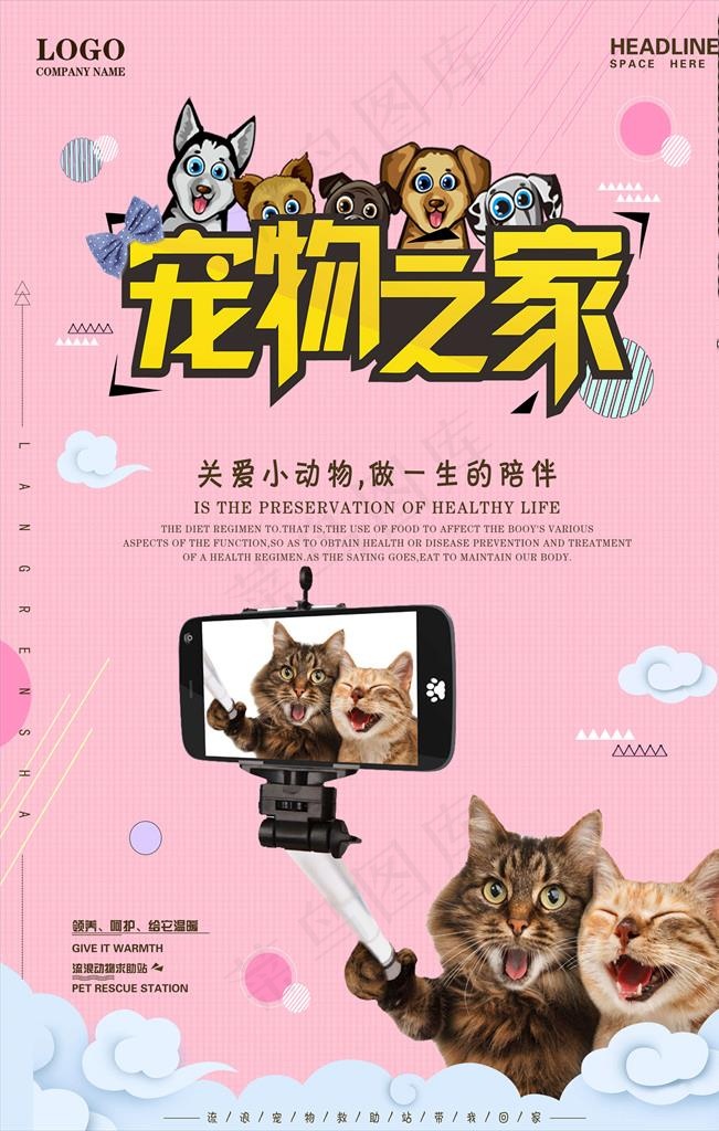 宠物海报图片psd模版下载