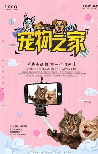 宠物海报图片