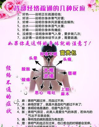 富贵菜鸟图库片