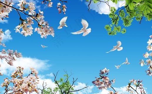 3D吊顶蓝天白云图片