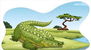 鳄鱼图片