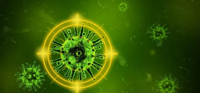 细菌 微生物图片 细菌 微生物图片