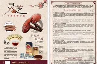 灵芝宣传单图片