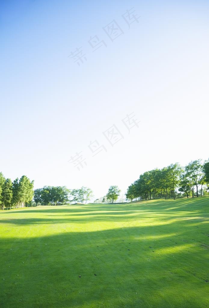 大草坪图片