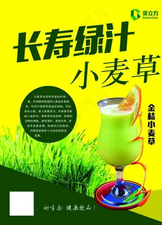 菜立方小麦草图片
