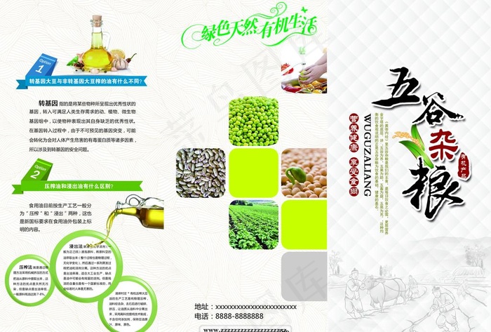 简约风农产品宣传折页图片(3508X2480(DPI:300))psd模版下载