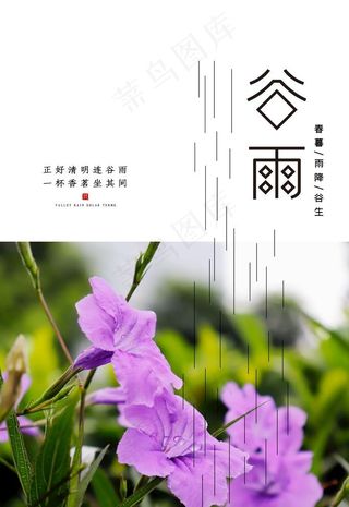 谷雨图片