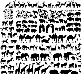 动物剪影图片