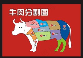 牛肉分割图图片