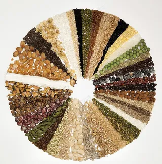 五谷谷物盘图片