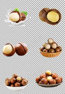 营养夏威夷果图片