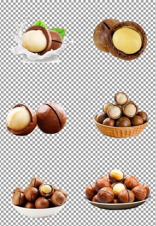 营养夏威夷果图片