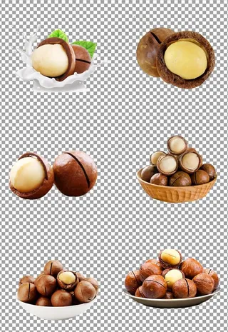 营养夏威夷果图片