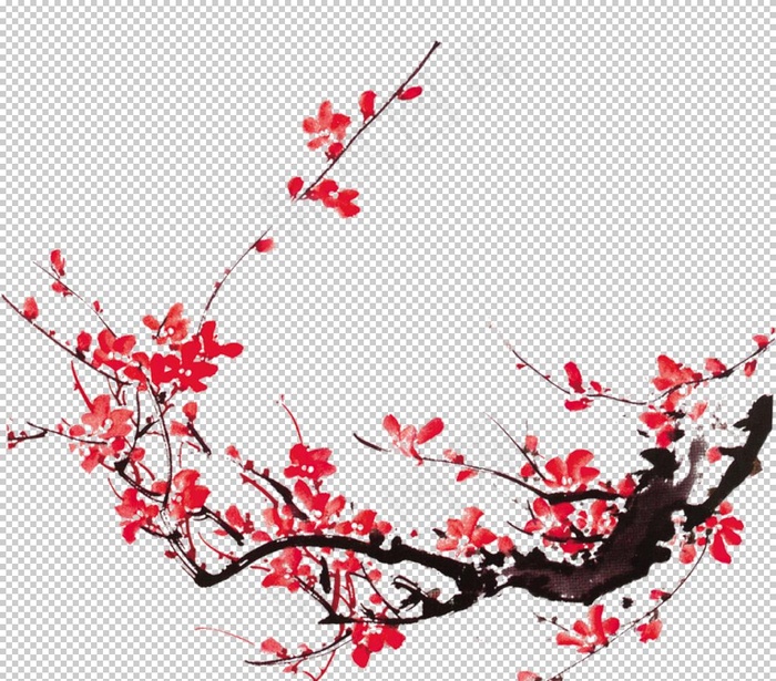 梅花图片