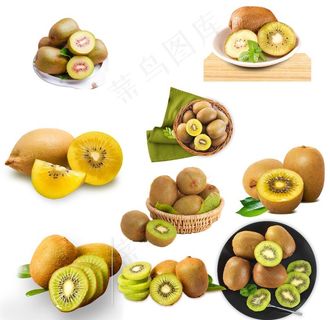 猕猴桃图片