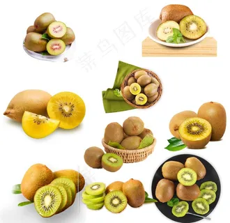 猕猴桃图片