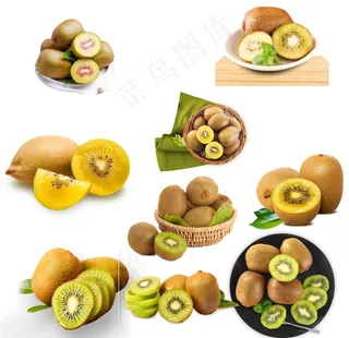猕猴桃图片