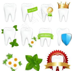 牙齿主题图标图片