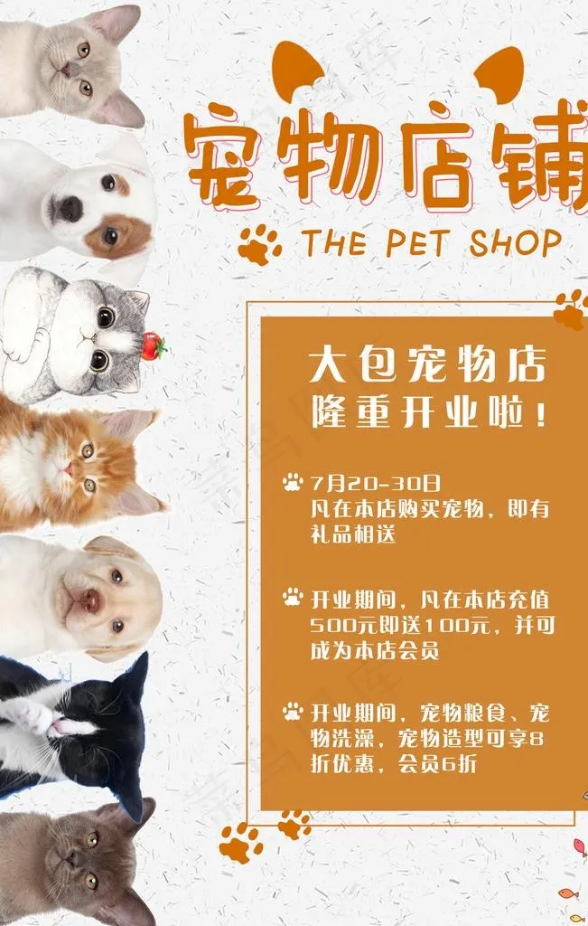 宠物店海报图片(3543X5315(DPI:150))psd模版下载
