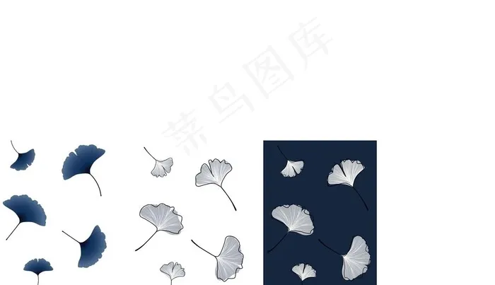 银杏叶图片