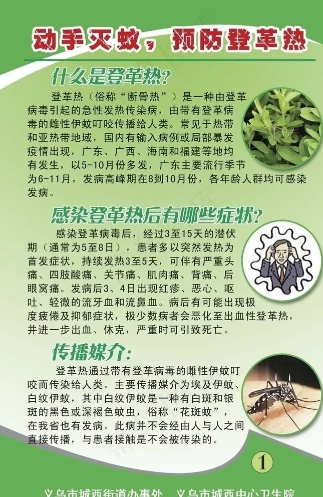 登革热图片psd模版下载