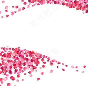 花瓣图片