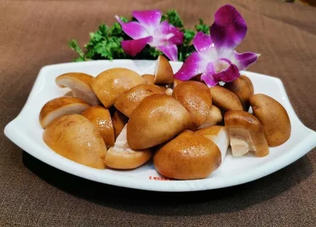 香菇图片 香菇图片