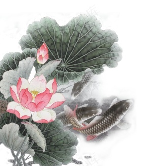 水墨荷花图片