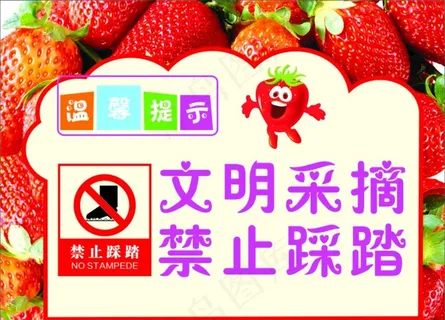 草莓图片