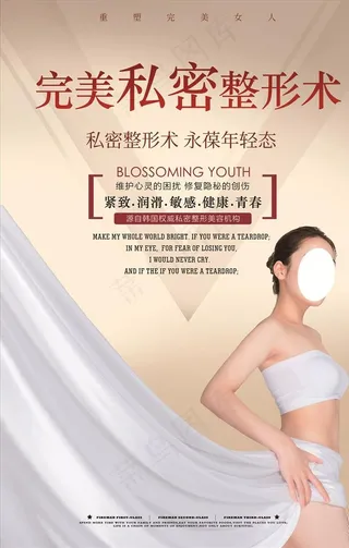 完美私密整形术海报图片