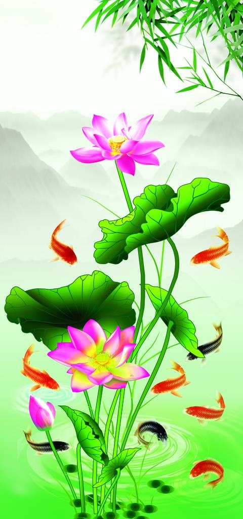 荷花图片