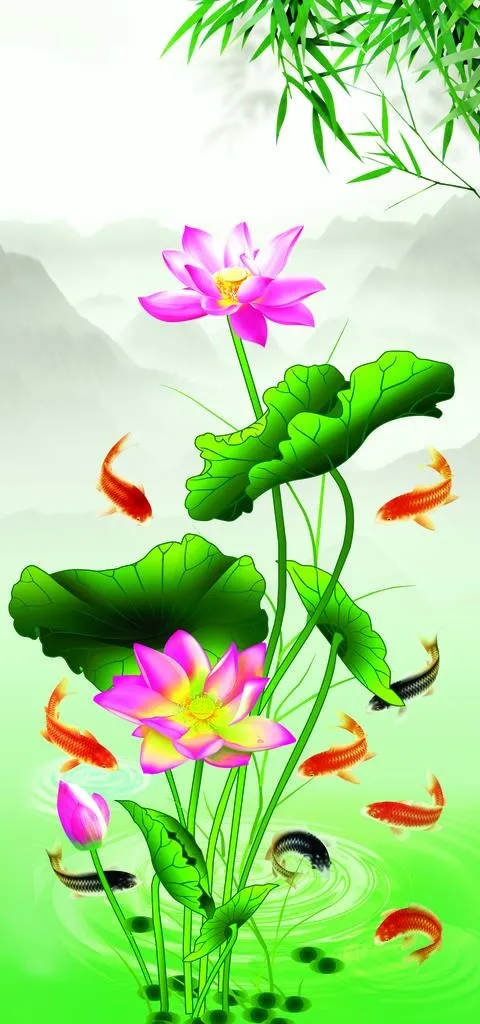 荷花图片