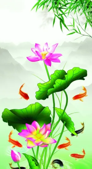 荷花图片