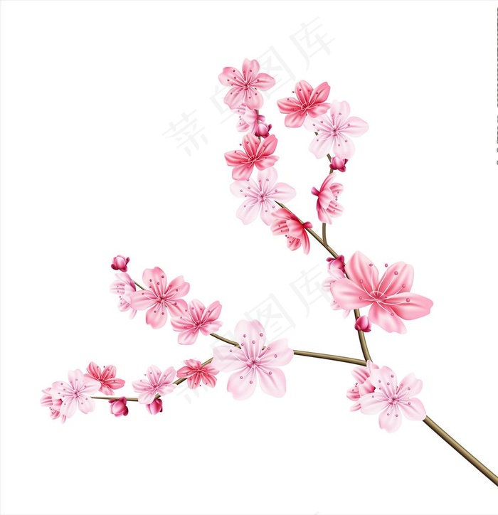 梅花图片ai矢量模版下载