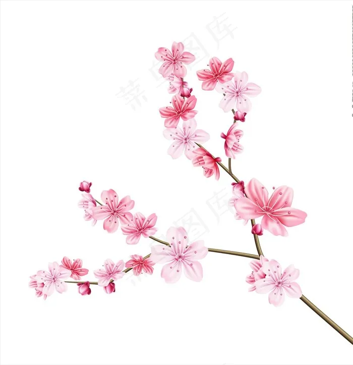 梅花图片ai矢量模版下载