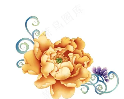 牡丹花图片 牡丹花图片