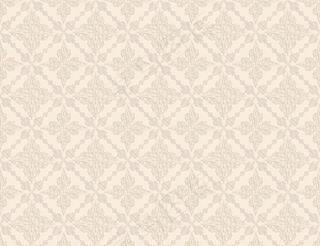 欧式花纹莉雅电视背景墙图片