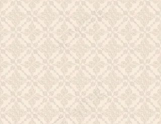 欧式花纹莉雅电视背景墙图片