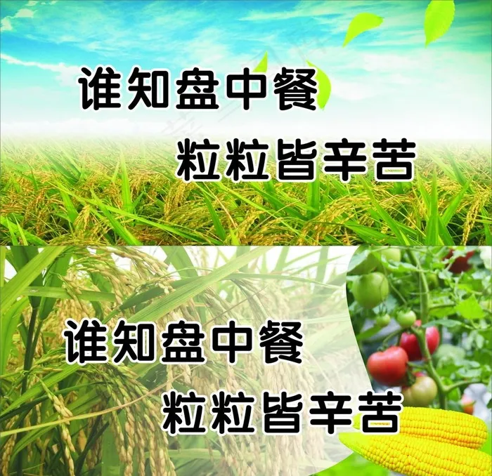 谁知盘中餐标语图片cdr矢量模版下载