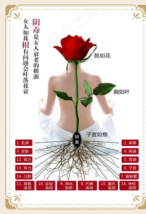 卵巢保护图片