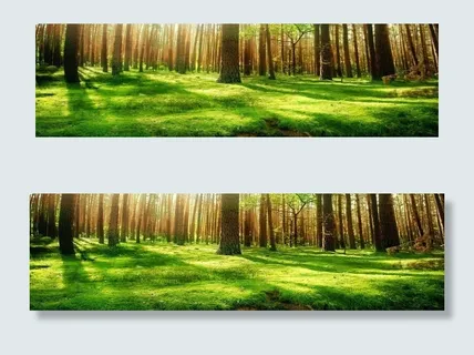 梦幻森林背景素材图片