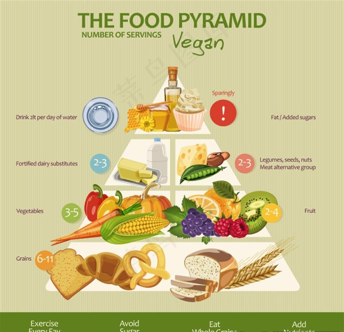 膳食金字塔图片