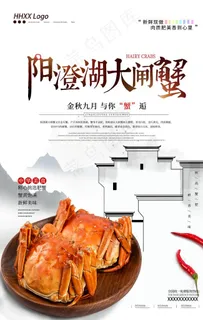 大闸蟹图片 大闸蟹图片