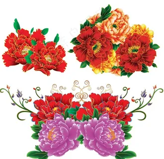 牡丹花图片 牡丹花图片